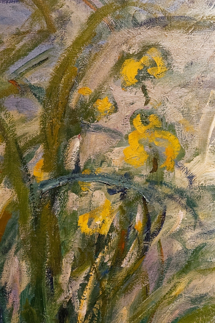 Musée Marmottan Monet-020